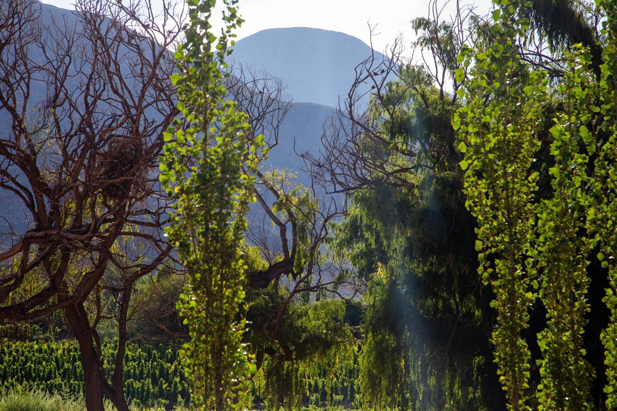 Casa En El Corazon De Huacalera, Jujuy Holiday home